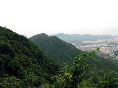 東莞 樟木頭|樟木頭鎮附近的 10 大最佳景點活動